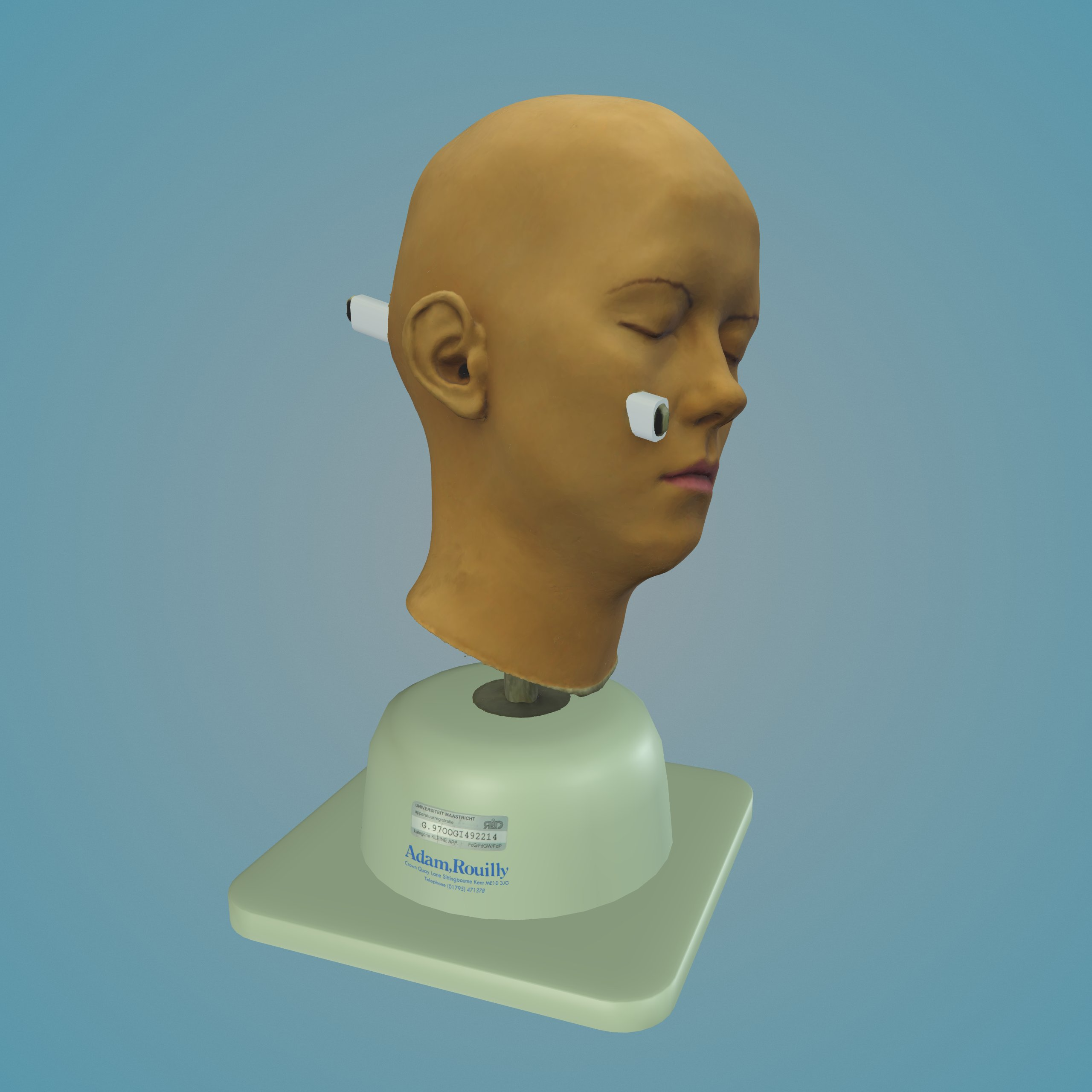 Otoscopy Training Head